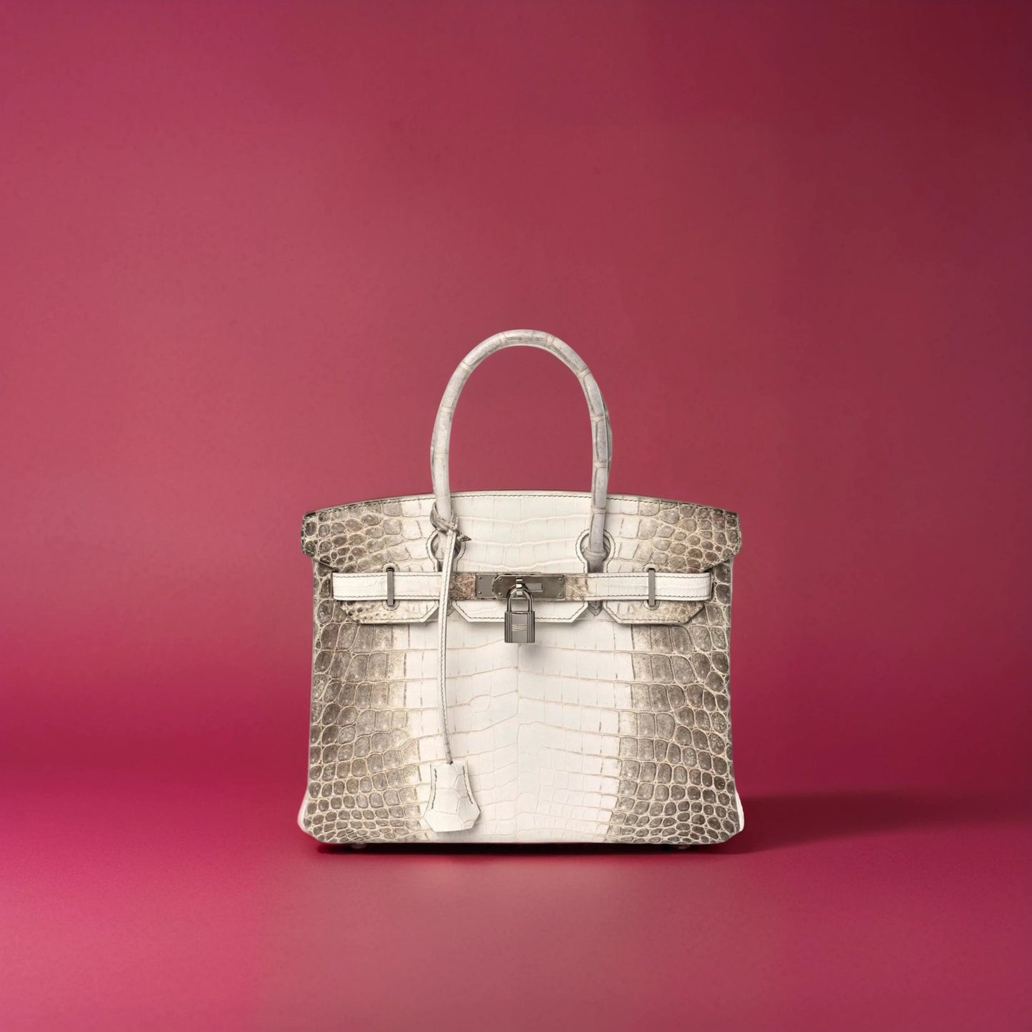 Matte Niloticus Crocodile Himalaya Birkin 30 Blanc