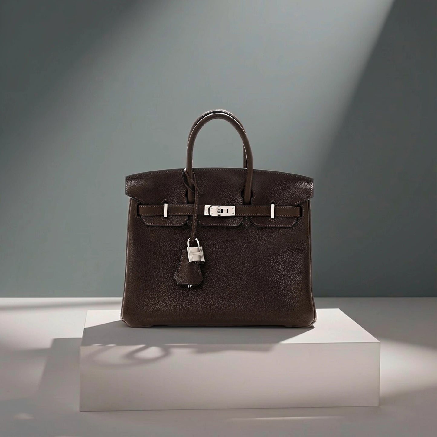 Barenia Faubourg Birkin 25 Ebene