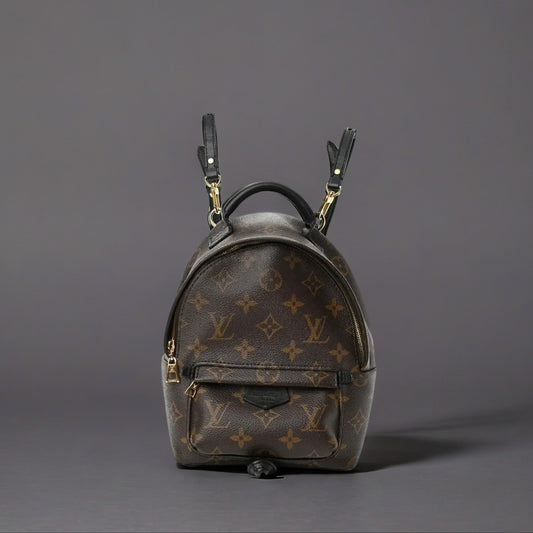 Monogram Palm Springs Backpack Mini