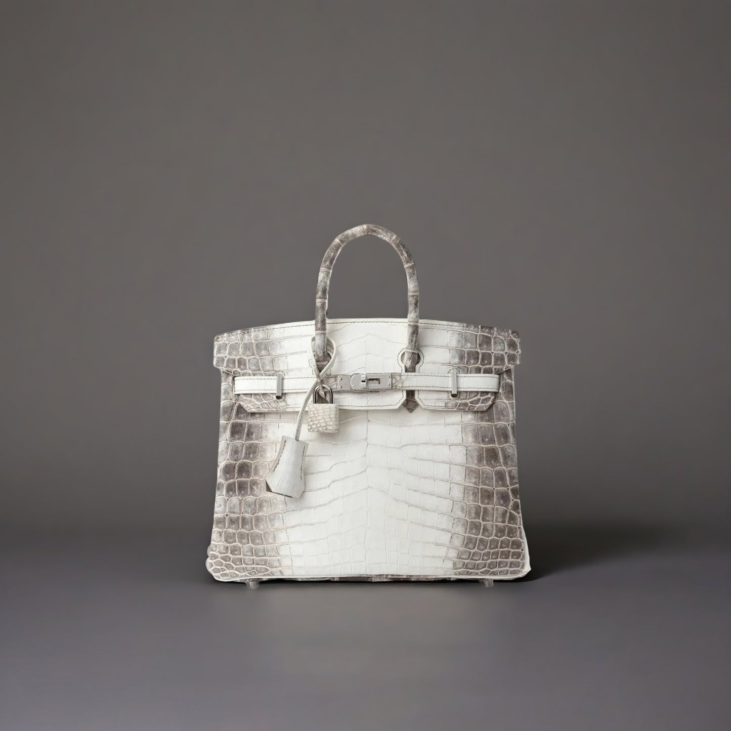 Matte Niloticus Crocodile Himalaya Birkin 25 Blanc
