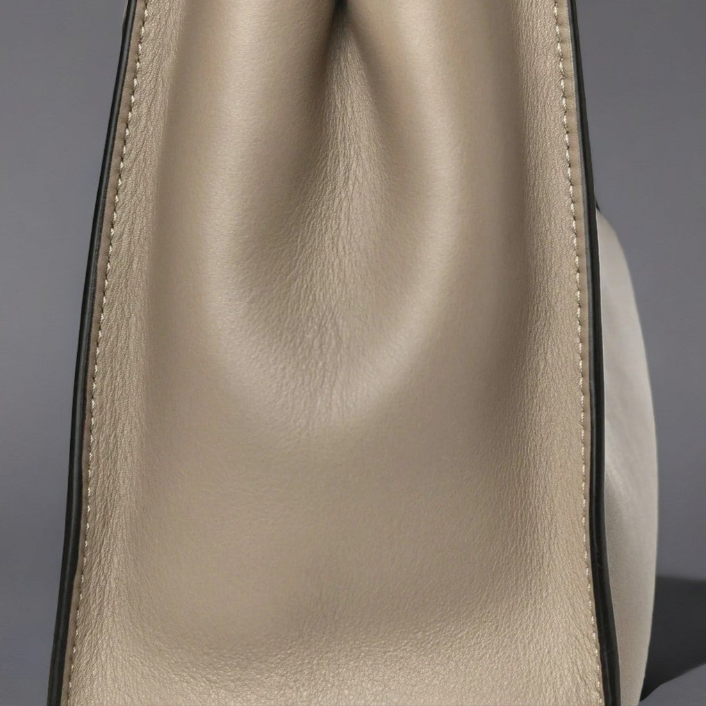 Silk Calfskin Plexi Tortoise Medium Peekaboo Iconic Satchel Dove