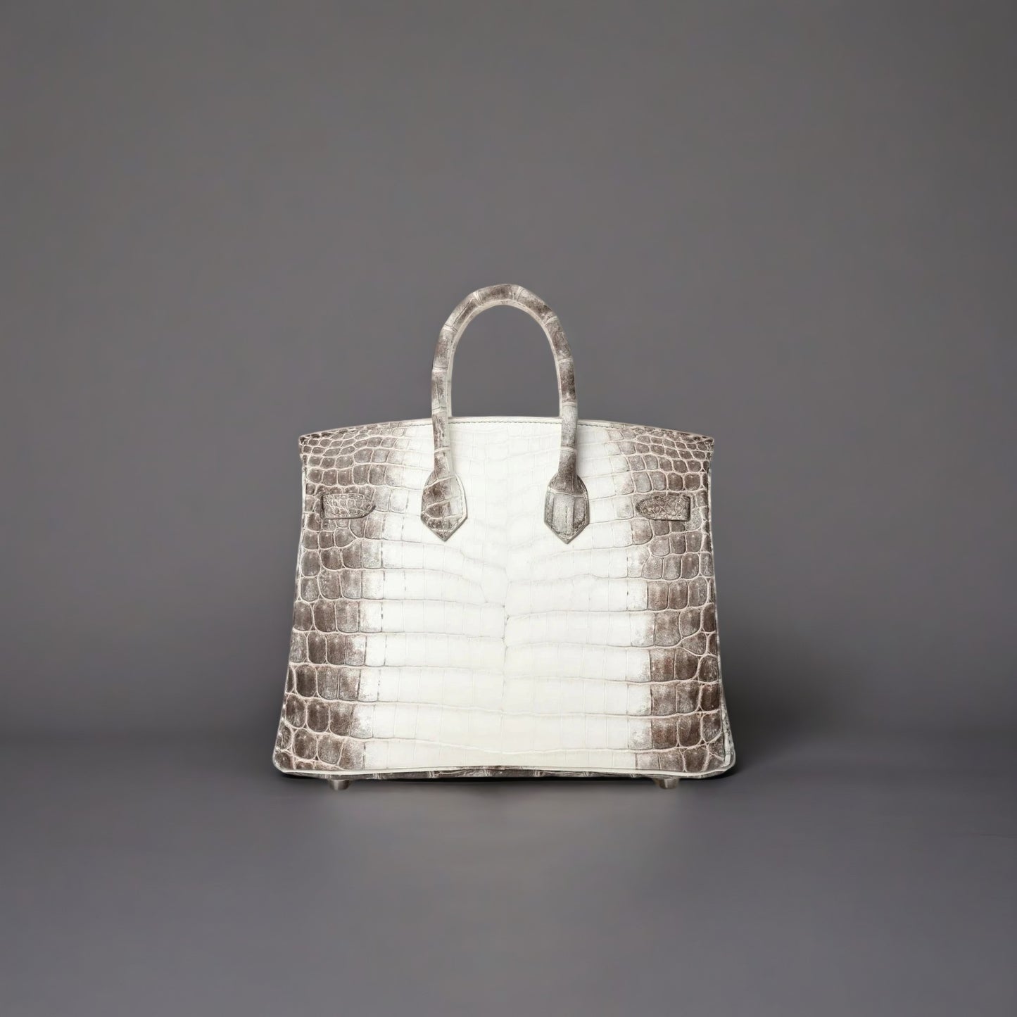 Matte Niloticus Crocodile Himalaya Birkin 25 Blanc