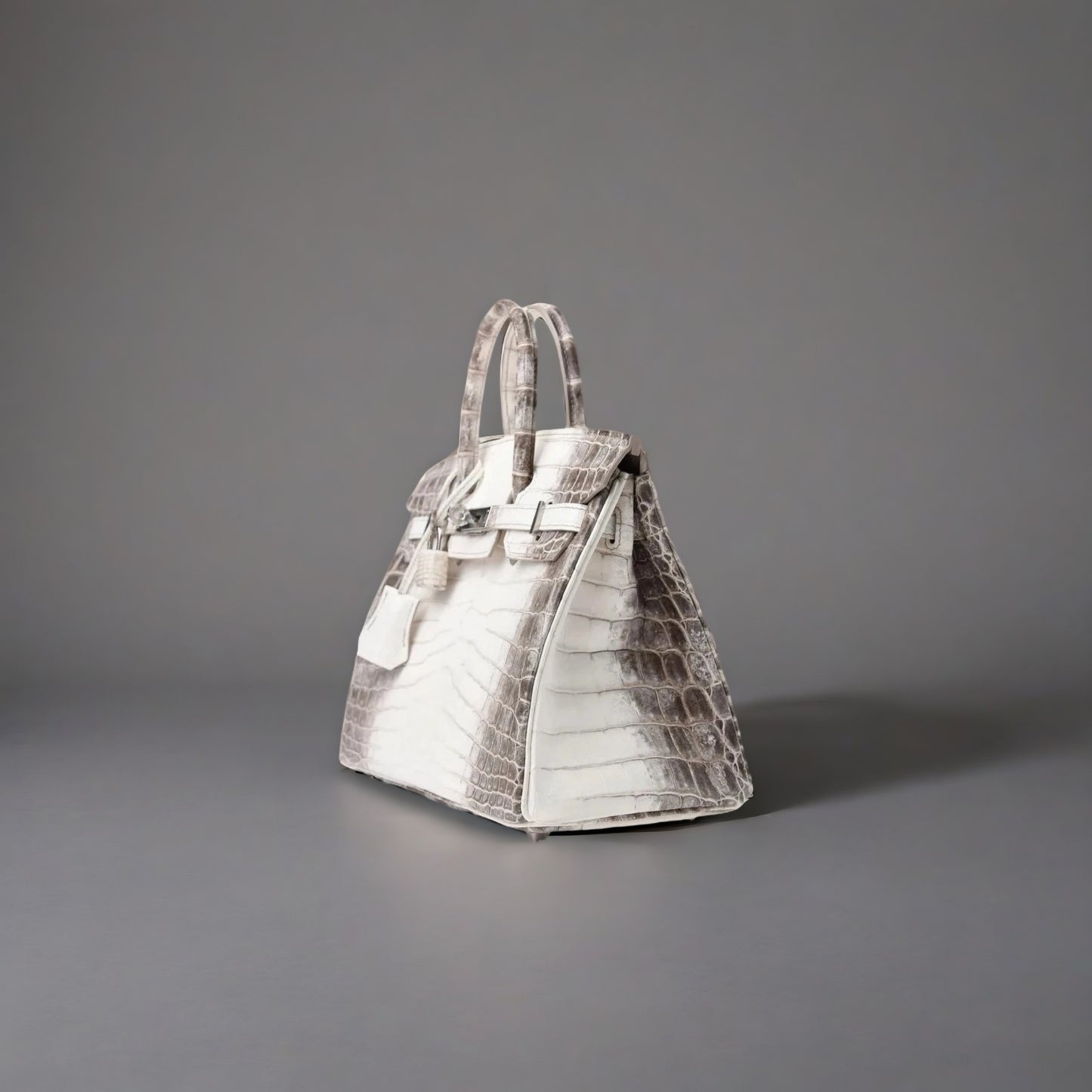 Matte Niloticus Crocodile Himalaya Birkin 25 Blanc