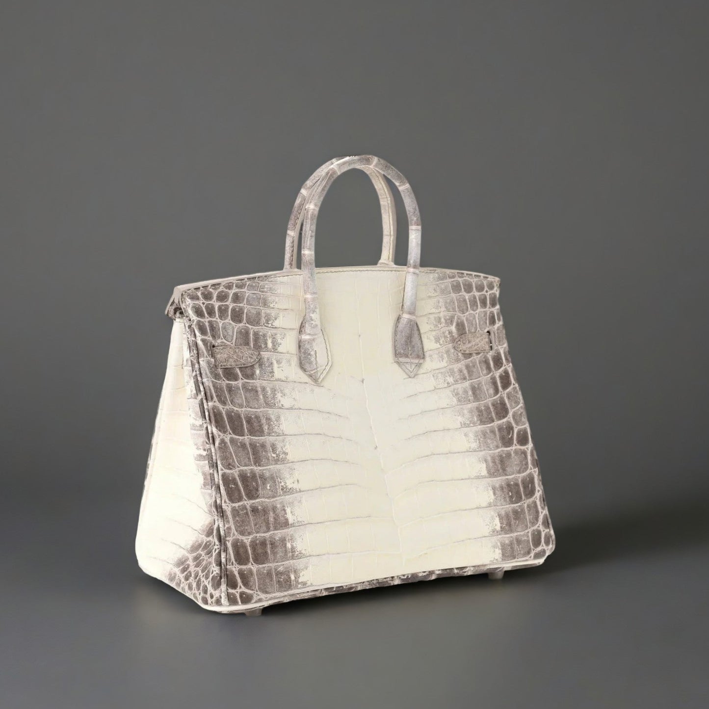 Matte Niloticus Crocodile Himalaya Birkin 25 Blanc