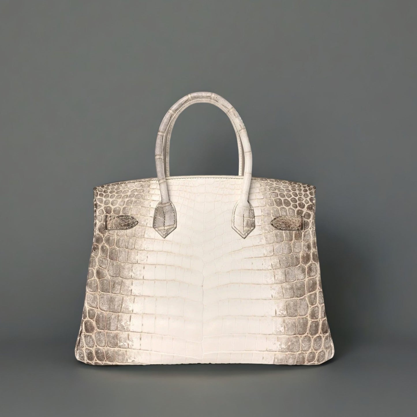 Matte Niloticus Crocodile Himalaya Birkin 30 Blanc