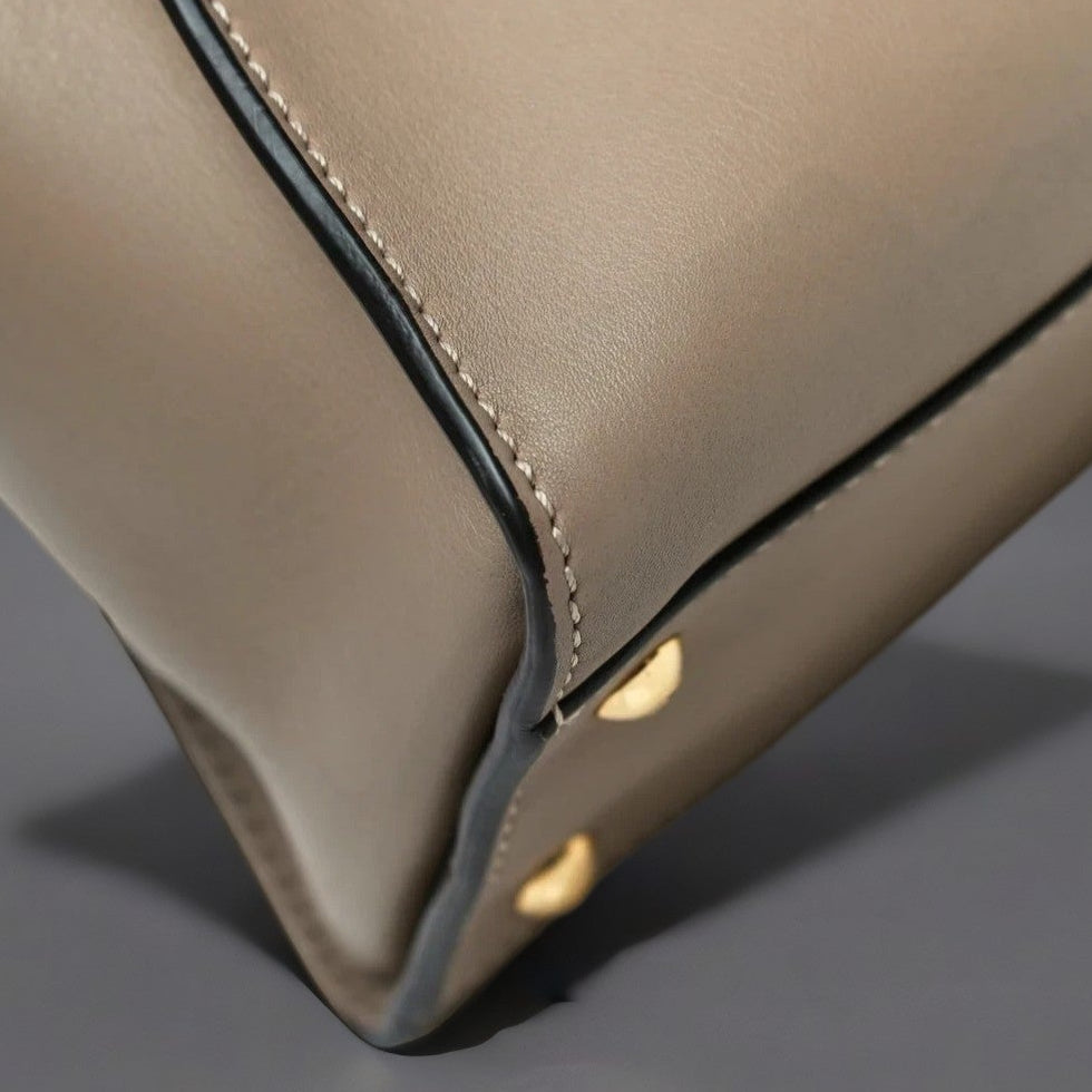 Silk Calfskin Plexi Tortoise Medium Peekaboo Iconic Satchel Dove