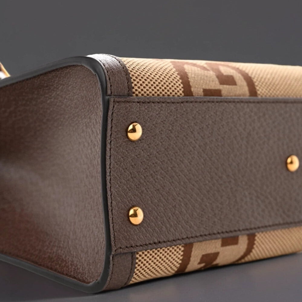 Monogram Jumbo GG Textured Dollar Calfskin Small Diana Tote Bag Camel Ebony New Acero Pomegranate Red