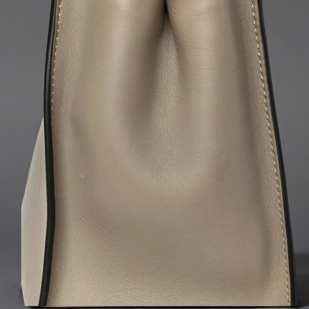 Silk Calfskin Plexi Tortoise Medium Peekaboo Iconic Satchel Dove